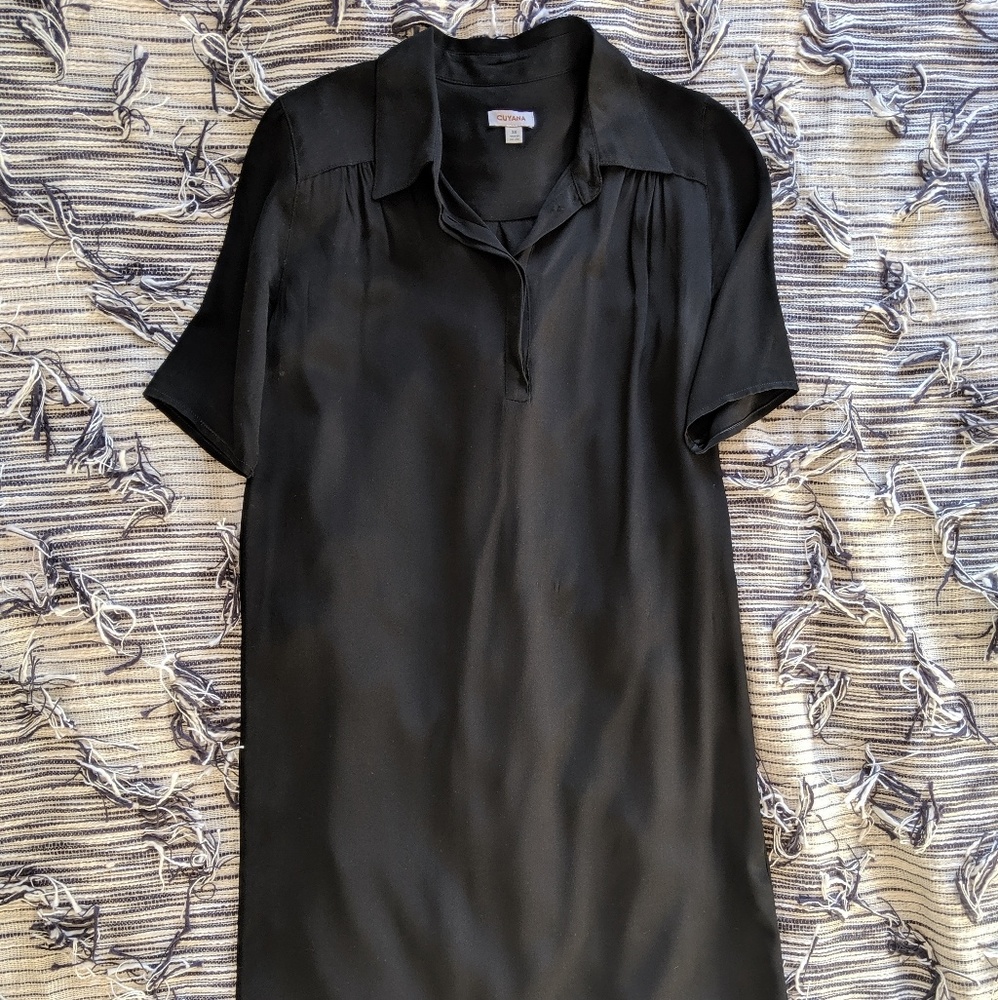 Cuyana Silk Shirt Dress